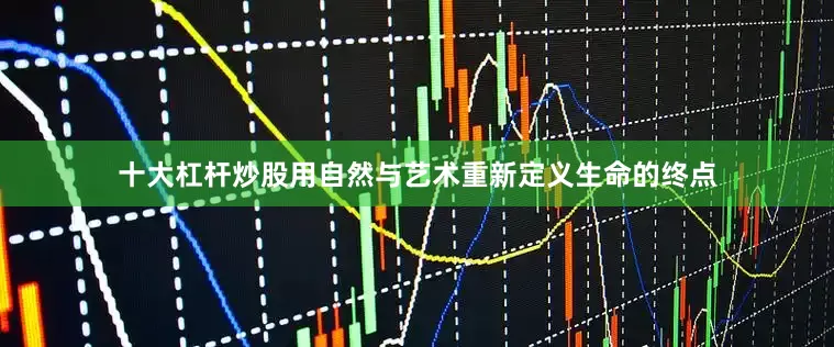 十大杠杆炒股用自然与艺术重新定义生命的终点