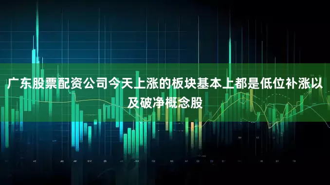 广东股票配资公司今天上涨的板块基本上都是低位补涨以及破净概念股