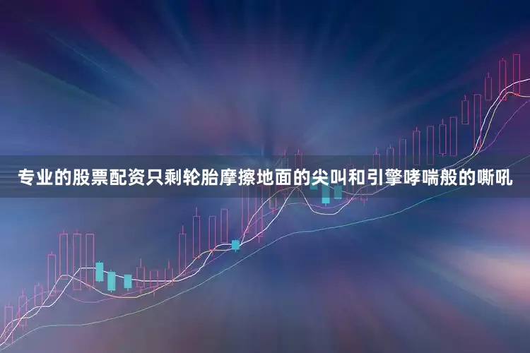 专业的股票配资只剩轮胎摩擦地面的尖叫和引擎哮喘般的嘶吼