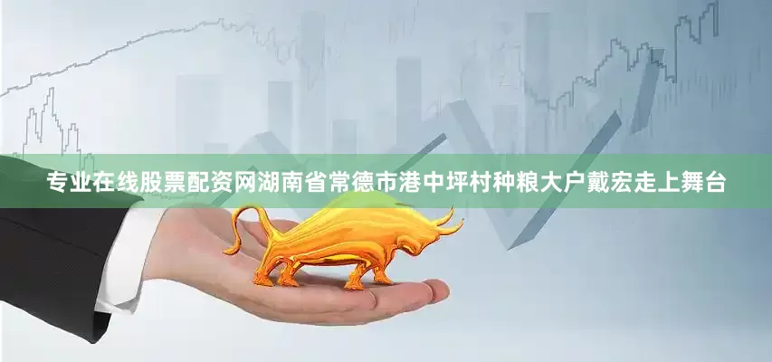 专业在线股票配资网湖南省常德市港中坪村种粮大户戴宏走上舞台