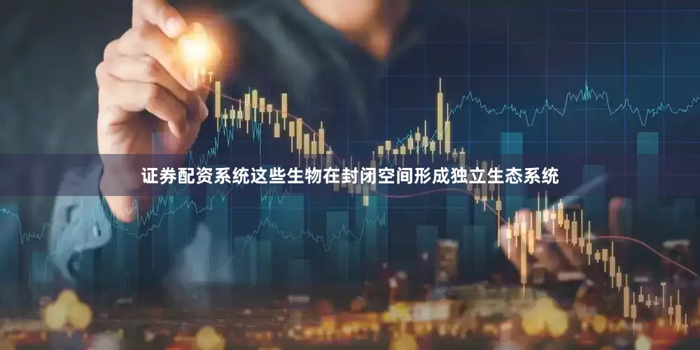 证券配资系统这些生物在封闭空间形成独立生态系统