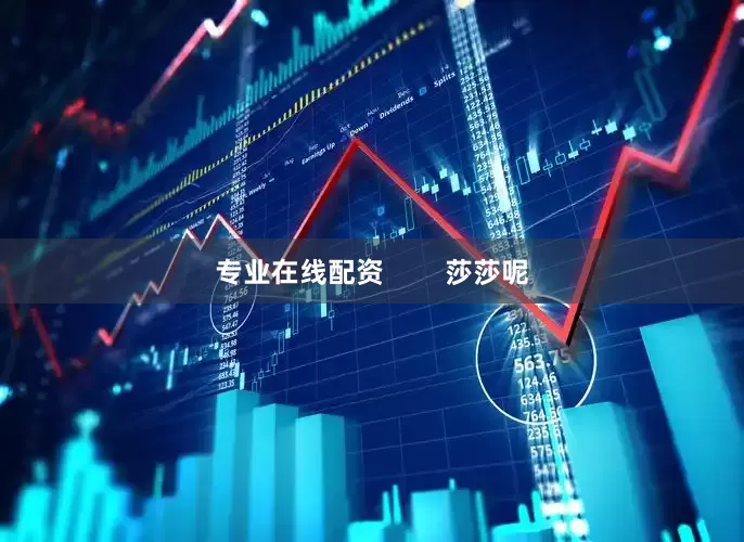 专业在线配资        莎莎呢